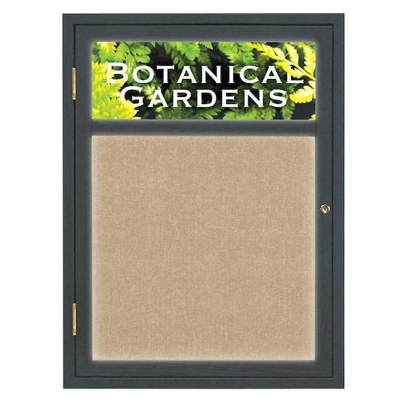 Open Faced Traditional Corkboard, 12x36"